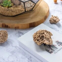 Natural Reed Tube Limestone Absorption For Landscaping Rockery Aquarium Bonsai Terrarium Succulents -Terrarium Plant Hub c180731569 2