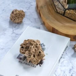 Natural Reed Tube Limestone Absorption For Landscaping Rockery Aquarium Bonsai Terrarium Succulents -Terrarium Plant Hub c180731569 3