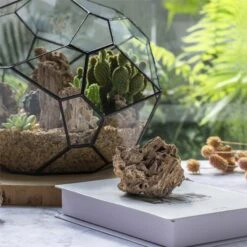 Natural Reed Tube Limestone Absorption For Landscaping Rockery Aquarium Bonsai Terrarium Succulents