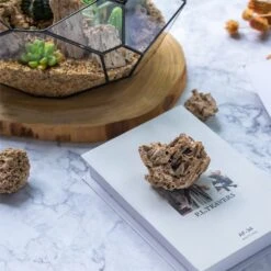 Natural Reed Tube Limestone Absorption For Landscaping Rockery Aquarium Bonsai Terrarium Succulents -Terrarium Plant Hub c180731569 7