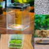 Watertight Glass Tank With LED Grow Light, Acrylic Lid, DIY Terrarium Kit-12x12x18cm / 4.7x4.7x7.1'' -Terrarium Plant Hub diy 4