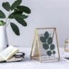 5x7" Brass Gold Tabletop Vintage Frame Geometric Ornament Plant Specimen Clip Modern Decor Card Holder 2-Folded Reception Engagement -Terrarium Plant Hub il fullxfull.2219051736 gsto