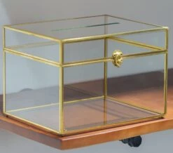12"Large Gold Foot Rectangle With Slot Geometric Glass Card Box Keepsake Recipe Reception Envelope Holder Display Gift With Swing Lid Latch -Terrarium Plant Hub il fullxfull.3773105934 smkv