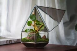 NCYP Hanging Six-surface Diamond Glass Geometric Terrarium, Stainless Steel, Silver, With Mesh For Insect Pet -Terrarium Plant Hub il fullxfull.3808288904 4ygm