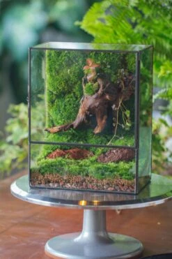 NCYP Close Geometric Glass Terrarium With Door, Tin Sealed Rectangle Tall Moss Wall Planter For Moss Wall, Fern, Landscape -Terrarium Plant Hub il fullxfull.3837941028 m2vs
