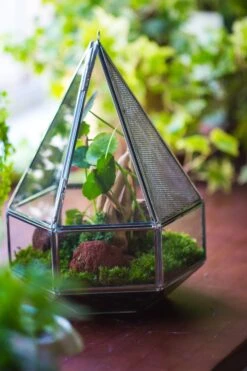 NCYP Hanging Six-surface Diamond Glass Geometric Terrarium, Stainless Steel, Silver, With Mesh For Insect Pet -Terrarium Plant Hub il fullxfull.3855815001 5en3