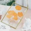 Hanging Rectangle Multiple Size Herbarium Brass Double Glass Frame For Pressed Flowers, Dried Flowers, Poster, Floating Frame -Terrarium Plant Hub il fullxfull.3955097403 b69j