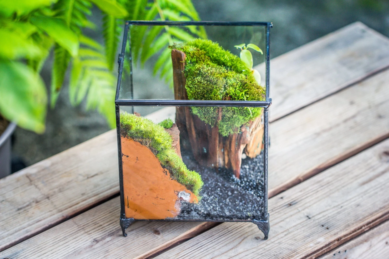 NCYP Vintage Feet Cube Close Geometric Glass Terrarium With Door, Tin Sealed Cube 4.3 / 5.9 Inches Planter Succulent Cacti Fern Flower Pot 12 NCYP Vintage Feet Cube Close Geometric Glass Terrarium With Door, Tin Sealed Cube 4.3 / 5.9 Inches Planter Succulent Cacti Fern Flower Pot - Image 10