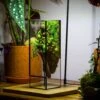 NCYP Close 11.8" Tall Geometric Glass Terrarium With Door, Tin Sealed Pillar, Planter For Moss Wall, Fern, Pitcher Plants, Tropical Plants 2 NCYP Close 11.8" Tall Geometric Glass Terrarium With Door, Tin Sealed Pillar, Planter For Moss Wall, Fern, Pitcher Plants, Tropical Plants -Terrarium Plant Hub il fullxfull.4429472236 2w9b