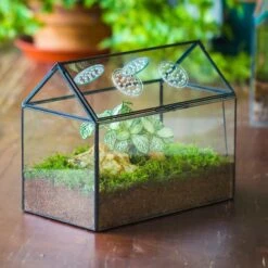 NCYP Handmade Geometric Glass Close Terrarium Box House Shape, Swing Lid Latch For Air Plants Moss Snail Reptile Habitat Vivarium -Terrarium Plant Hub il fullxfull.4550492667 8cny