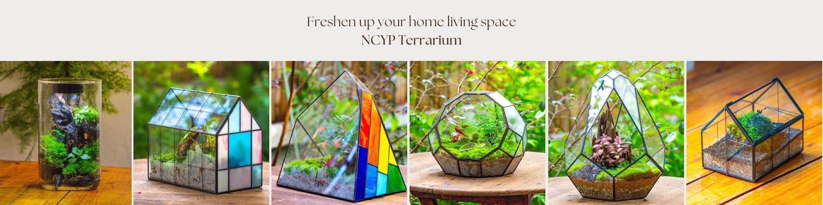 Front Page 70 Front Page -Terrarium Plant Hub