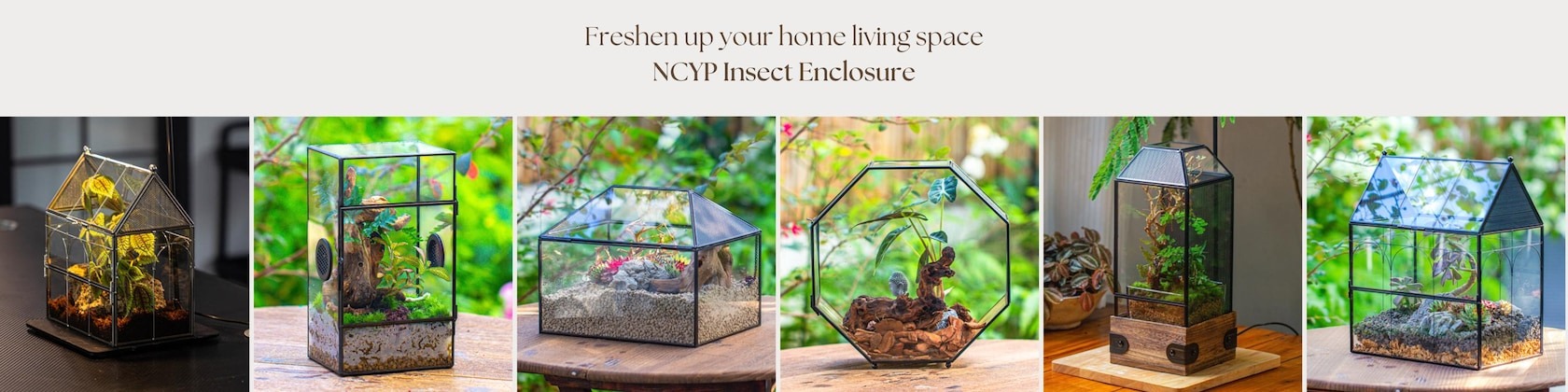 Front Page 3 Front Page -Terrarium Plant Hub