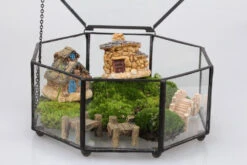 Handmade Flat Octagon Glass Geometric Terrarium For Succulents Fern Moss -Terrarium Plant Hub product image 293922302