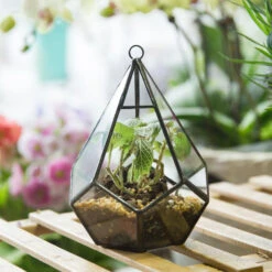 Handmade Artistic Hanging Glass Teardrop Diamond Geometric Terrarium With Loop For Succulent Moss -Terrarium Plant Hub product image 293990828