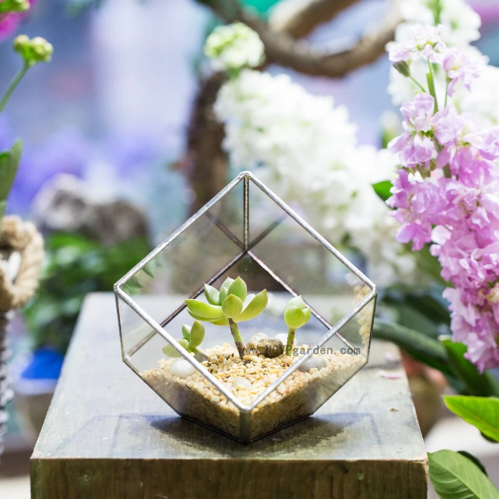 Handmade 3.93" / 10cm Silver Square Inclined Open Cube Glass Geometric Terrarium Box For Succulents 11 Handmade 3.93" / 10cm Silver Square Inclined Open Cube Glass Geometric Terrarium Box For Succulents - Image 9