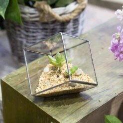 Handmade 3.93" / 10cm Silver Square Inclined Open Cube Glass Geometric Terrarium Box For Succulents 21 Handmade 3.93" / 10cm Silver Square Inclined Open Cube Glass Geometric Terrarium Box For Succulents -Terrarium Plant Hub product image 330636305