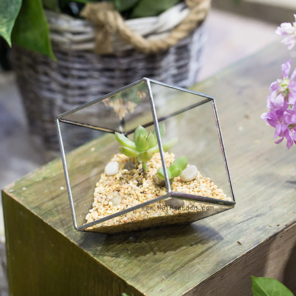 Handmade 3.93" / 10cm Silver Square Inclined Open Cube Glass Geometric Terrarium Box For Succulents 10 Handmade 3.93" / 10cm Silver Square Inclined Open Cube Glass Geometric Terrarium Box For Succulents - Image 8