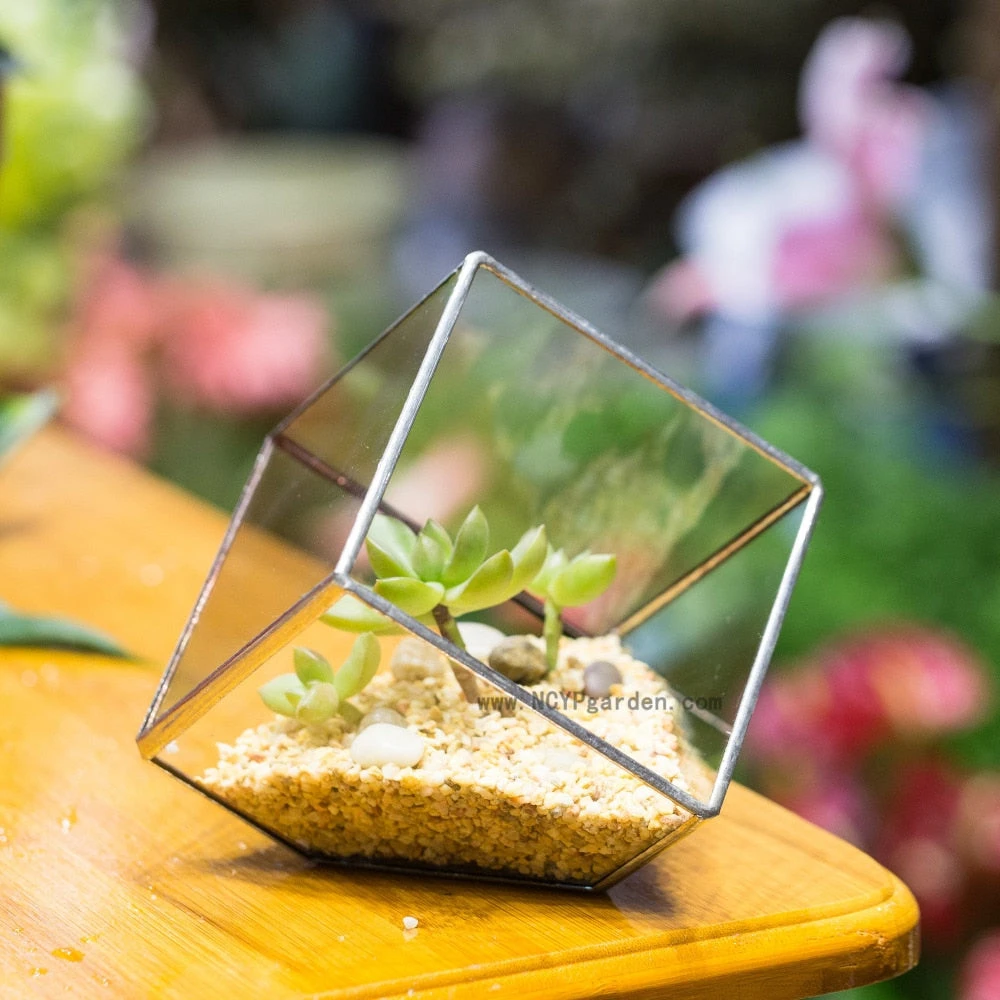 Handmade 3.93" / 10cm Silver Square Inclined Open Cube Glass Geometric Terrarium Box For Succulents 13 Handmade 3.93" / 10cm Silver Square Inclined Open Cube Glass Geometric Terrarium Box For Succulents - Image 11