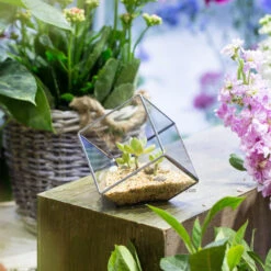 Handmade 3.93" / 10cm Silver Square Inclined Open Cube Glass Geometric Terrarium Box For Succulents 16 Handmade 3.93" / 10cm Silver Square Inclined Open Cube Glass Geometric Terrarium Box For Succulents -Terrarium Plant Hub product image 330636318