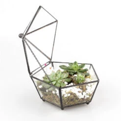 Handmade Small Modern Clear Jewelry BoxGlass Geometric Terrarium For Wedding Planters Succulents -Terrarium Plant Hub product image 336639173