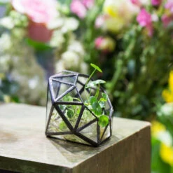 Handmade Mini Eight-surfaces Diamond Glass Geometric Terrarium ForFern Moss Ring Box -Terrarium Plant Hub product image 379729141