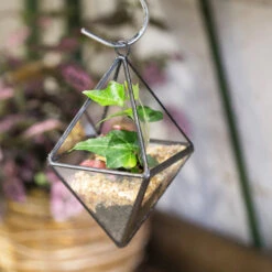 Handmade Small Hanging Geometric Glass Terrarium For Succulent Air Plant 12 Handmade Small Hanging Geometric Glass Terrarium For Succulent Air Plant -Terrarium Plant Hub product image 380708237