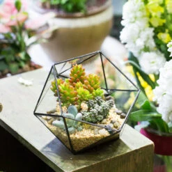 Handmade Bowl Shape Geometric Glass Terrarium Pot For Plants Succulent Moss Miniature Airplants -Terrarium Plant Hub product image 381129931