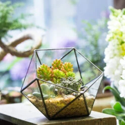 Handmade Bowl Shape Geometric Glass Terrarium Pot For Plants Succulent Moss Miniature Airplants -Terrarium Plant Hub product image 381129963