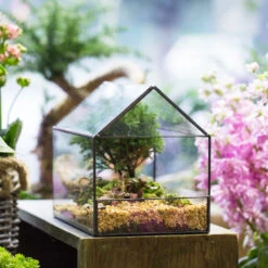 Handmade House Shape Open On The Side Glass Geometric Terrarium For Fern Moss Succulents Airplants -Terrarium Plant Hub product image 384965320