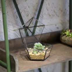 Handmade Small Modern Clear Jewelry BoxGlass Geometric Terrarium For Wedding Planters Succulents -Terrarium Plant Hub product image 385370588