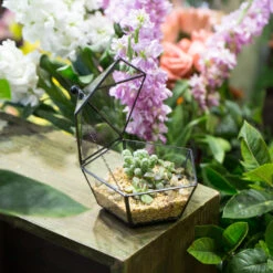 Handmade Small Modern Clear Jewelry BoxGlass Geometric Terrarium For Wedding Planters Succulents -Terrarium Plant Hub product image 385370593