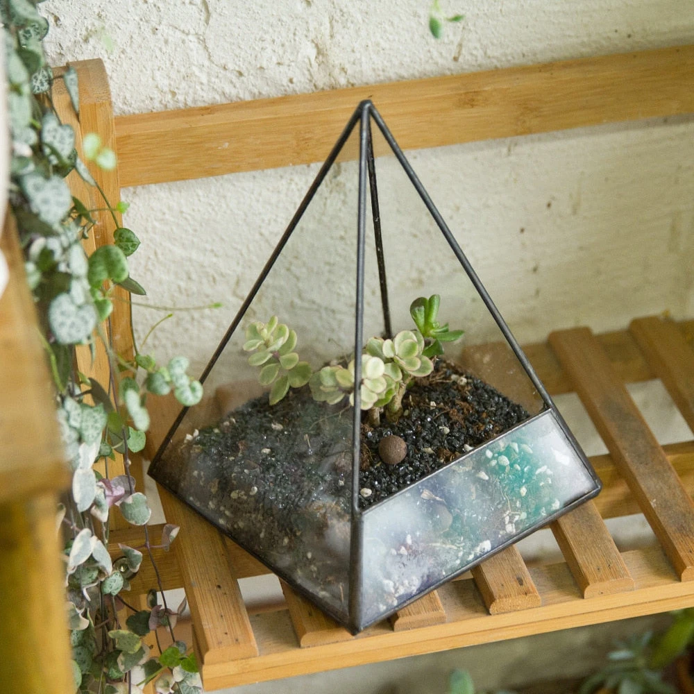 Handmade Pyramid Geometric Glass Terrarium For Succulent Fern Moss Airplants Cacti 8 Handmade Pyramid Geometric Glass Terrarium For Succulent Fern Moss Airplants Cacti - Image 6