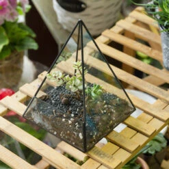 Handmade Pyramid Geometric Glass Terrarium For Succulent Fern Moss Airplants Cacti 23 Handmade Pyramid Geometric Glass Terrarium For Succulent Fern Moss Airplants Cacti -Terrarium Plant Hub product image 385399702