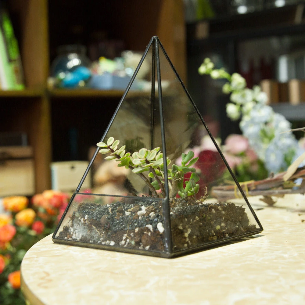 Handmade Pyramid Geometric Glass Terrarium For Succulent Fern Moss Airplants Cacti 5 Handmade Pyramid Geometric Glass Terrarium For Succulent Fern Moss Airplants Cacti - Image 3
