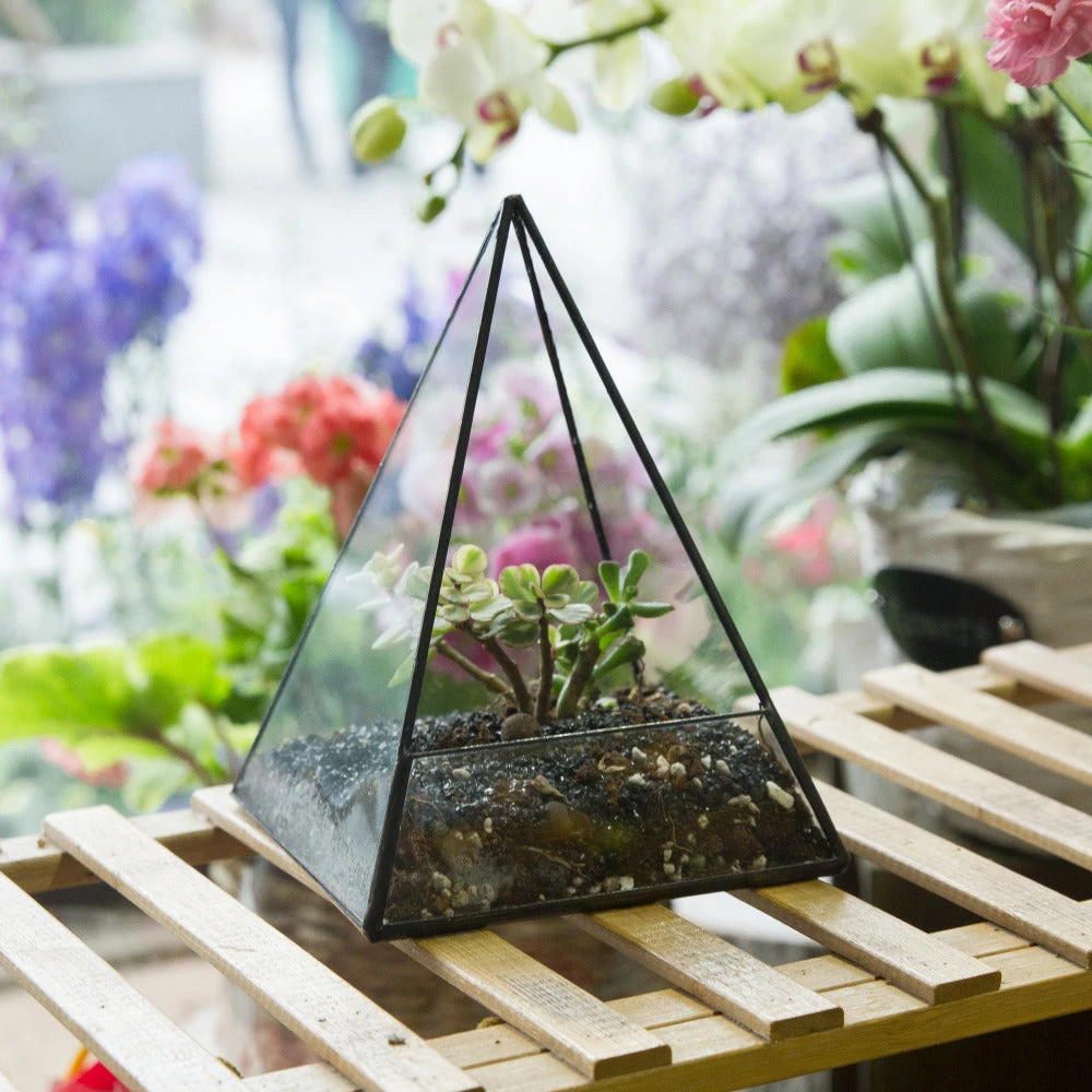 Handmade Pyramid Geometric Glass Terrarium For Succulent Fern Moss Airplants Cacti 6 Handmade Pyramid Geometric Glass Terrarium For Succulent Fern Moss Airplants Cacti - Image 4