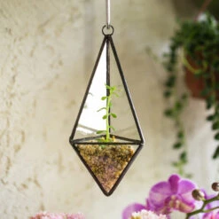 Handmade Hanging Mini Triangular Glass Geometric Terrarium For Fern Moss Succulent Airplants 17 Handmade Hanging Mini Triangular Glass Geometric Terrarium For Fern Moss Succulent Airplants -Terrarium Plant Hub product image 386603736