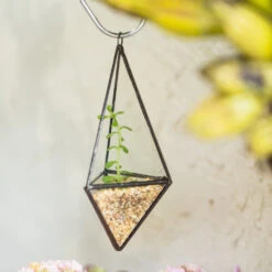 Handmade Hanging Mini Triangular Glass Geometric Terrarium For Fern Moss Succulent Airplants 29 Handmade Hanging Mini Triangular Glass Geometric Terrarium For Fern Moss Succulent Airplants -Terrarium Plant Hub product image 386603741