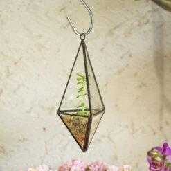 Handmade Hanging Mini Triangular Glass Geometric Terrarium For Fern Moss Succulent Airplants 22 Handmade Hanging Mini Triangular Glass Geometric Terrarium For Fern Moss Succulent Airplants -Terrarium Plant Hub product image 386603744