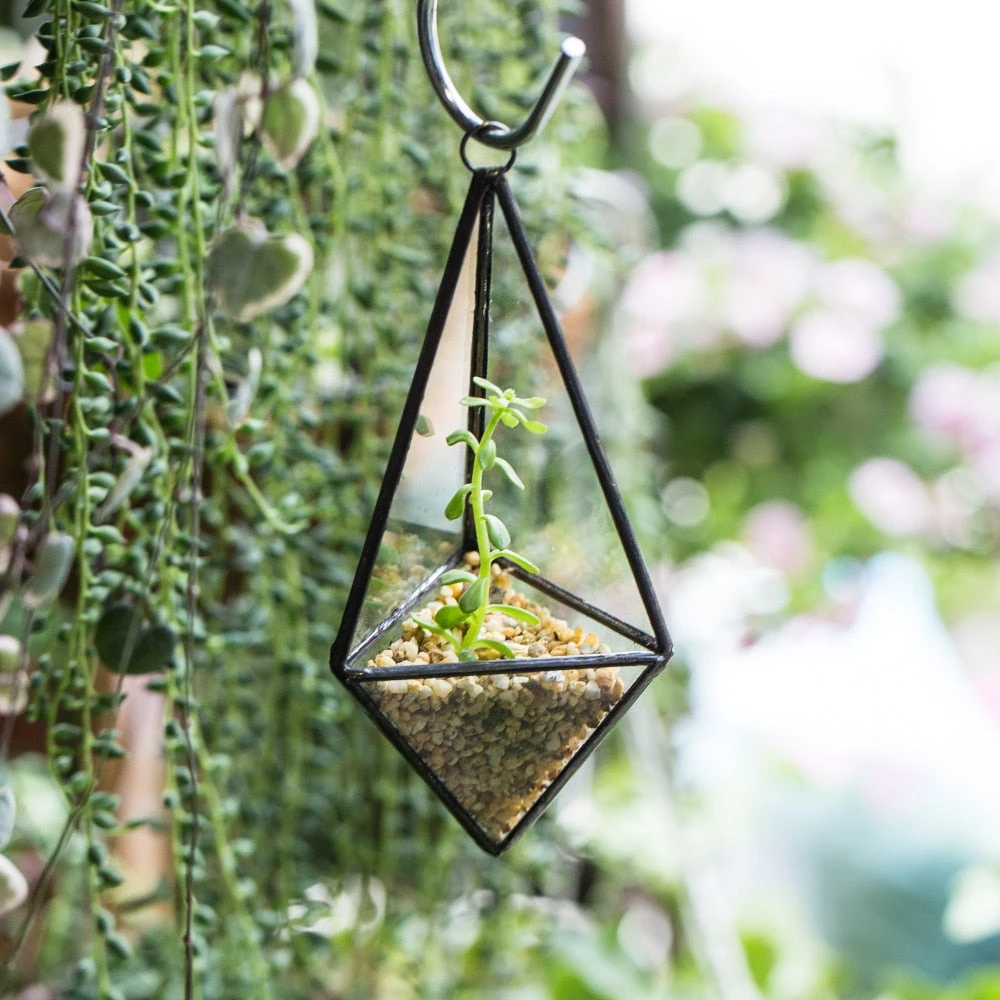 Handmade Hanging Mini Triangular Glass Geometric Terrarium For Fern Moss Succulent Airplants 15 Handmade Hanging Mini Triangular Glass Geometric Terrarium For Fern Moss Succulent Airplants - Image 13