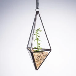 Handmade Hanging Mini Triangular Glass Geometric Terrarium For Fern Moss Succulent Airplants 21 Handmade Hanging Mini Triangular Glass Geometric Terrarium For Fern Moss Succulent Airplants -Terrarium Plant Hub product image 386603753