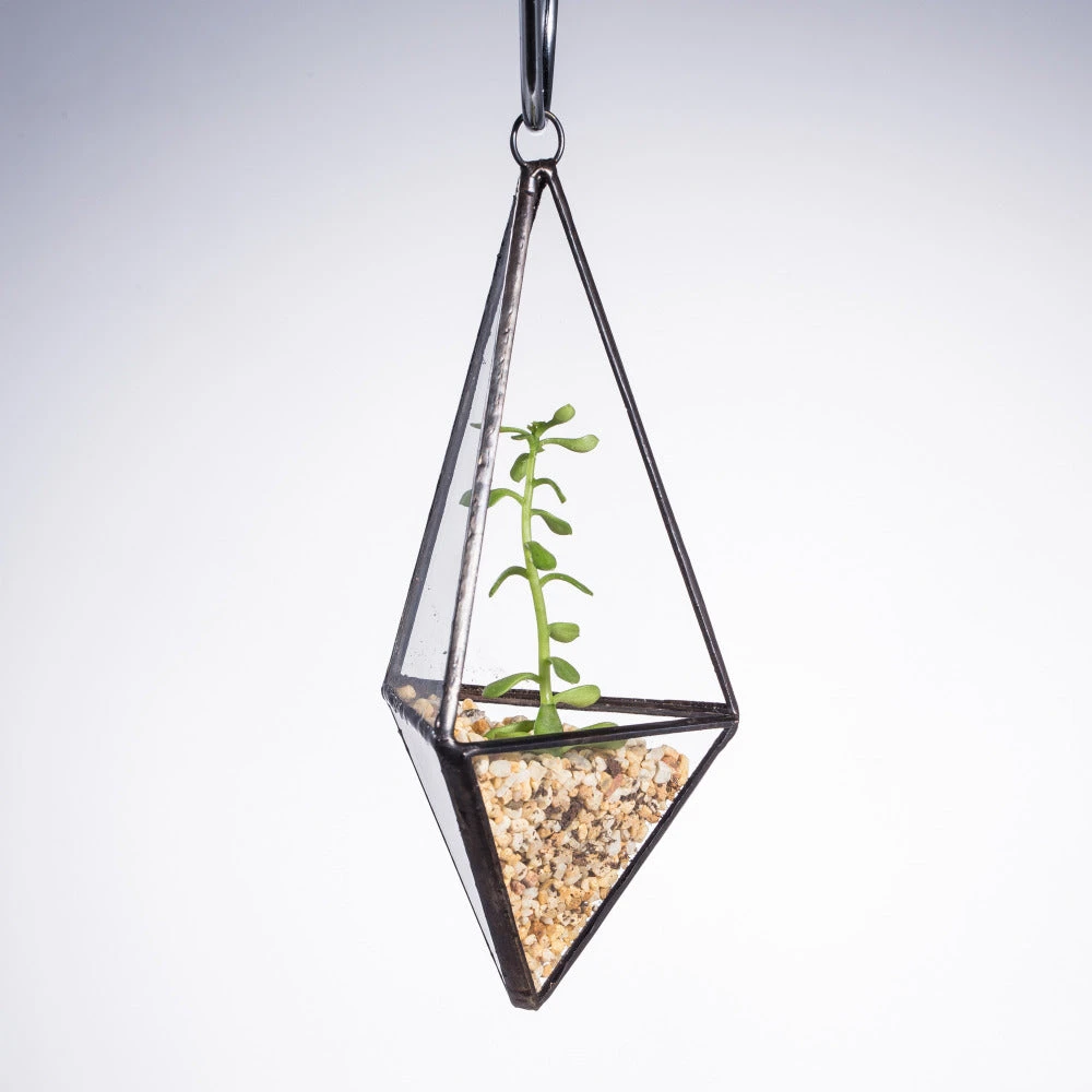 Handmade Hanging Mini Triangular Glass Geometric Terrarium For Fern Moss Succulent Airplants 8 Handmade Hanging Mini Triangular Glass Geometric Terrarium For Fern Moss Succulent Airplants - Image 6