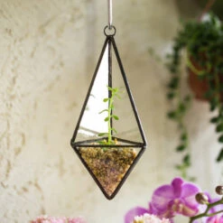Handmade Hanging Mini Triangular Glass Geometric Terrarium For Fern Moss Succulent Airplants 20 Handmade Hanging Mini Triangular Glass Geometric Terrarium For Fern Moss Succulent Airplants -Terrarium Plant Hub product image 386603762
