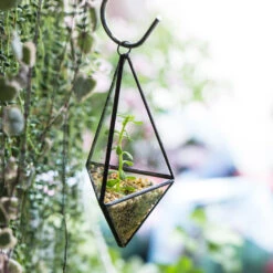 Handmade Hanging Mini Triangular Glass Geometric Terrarium For Fern Moss Succulent Airplants 24 Handmade Hanging Mini Triangular Glass Geometric Terrarium For Fern Moss Succulent Airplants -Terrarium Plant Hub product image 386603770