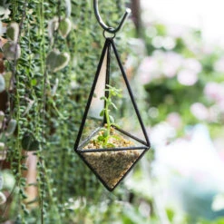 Handmade Hanging Mini Triangular Glass Geometric Terrarium For Fern Moss Succulent Airplants 19 Handmade Hanging Mini Triangular Glass Geometric Terrarium For Fern Moss Succulent Airplants -Terrarium Plant Hub product image 386603773