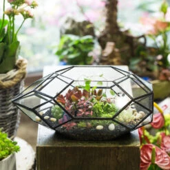 Handmade 11" Height Long Irregular Oval Geometric Glass Terrarium Lantern For Fern Moss Succulents -Terrarium Plant Hub product image 386949516