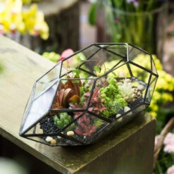 Handmade 11" Height Long Irregular Oval Geometric Glass Terrarium Lantern For Fern Moss Succulents -Terrarium Plant Hub product image 386949524