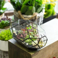 Handmade 11" Height Long Irregular Oval Geometric Glass Terrarium Lantern For Fern Moss Succulents -Terrarium Plant Hub product image 386949526