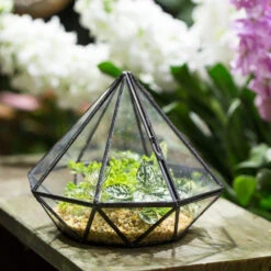 Handmade Diamond Black Glass Geometric Terrarium With Door For Succulents Moss Airplants -Terrarium Plant Hub product image 389524662
