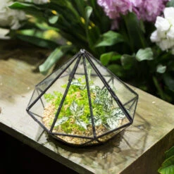 Handmade Diamond Black Glass Geometric Terrarium With Door For Succulents Moss Airplants -Terrarium Plant Hub product image 389524663