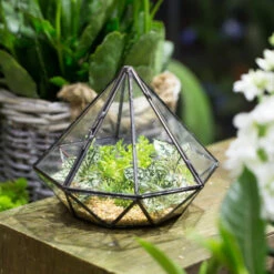 Handmade Diamond Black Glass Geometric Terrarium With Door For Succulents Moss Airplants -Terrarium Plant Hub product image 389524664